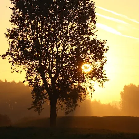 Hotel Western Du Dunkerque- Restaurant Ouvert 7/7 Midi Et Soir 3*