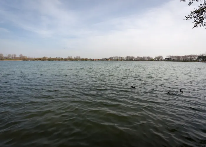 Western Du Dunkerque- Restaurant Ouvert 7/7 Midi Et Soir 酒店