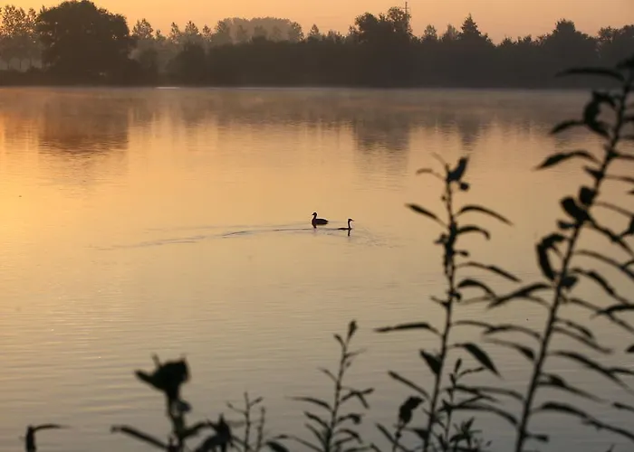 Western Du Dunkerque- Restaurant Ouvert 7/7 Midi Et Soir 酒店