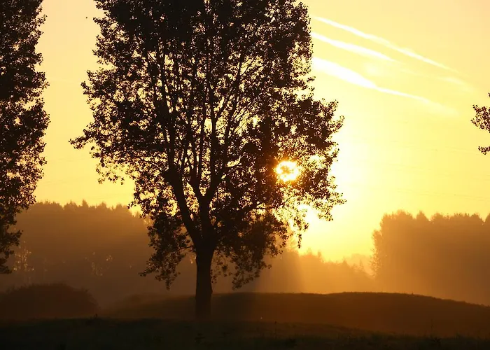 酒店 Western Du Dunkerque- Restaurant Ouvert 7/7 Midi Et Soir 3*